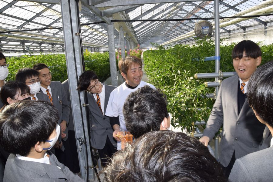 シシトウを試食する高知東工業高生（南国市植田）