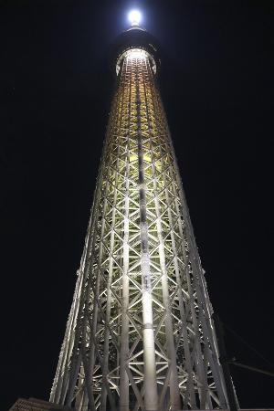 スカイツリー営業再開へ 閉じ込めで3日間休止 | 高知新聞