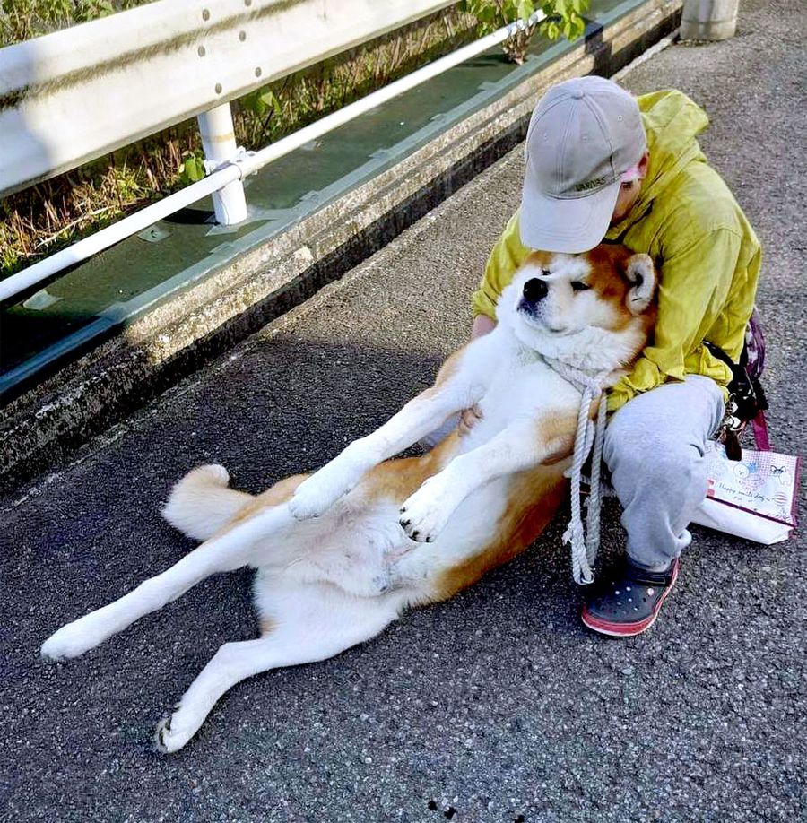 保護犬猫の譲渡イベントを企画した上杉桜さんと愛犬