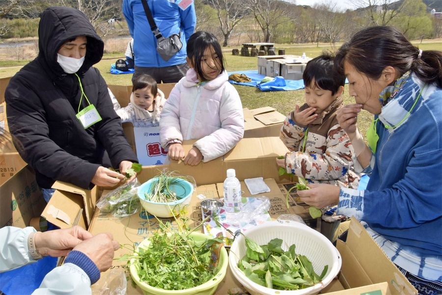 食べられる植物について学んだ参加者（四万十市の四万十川キャンプ場）