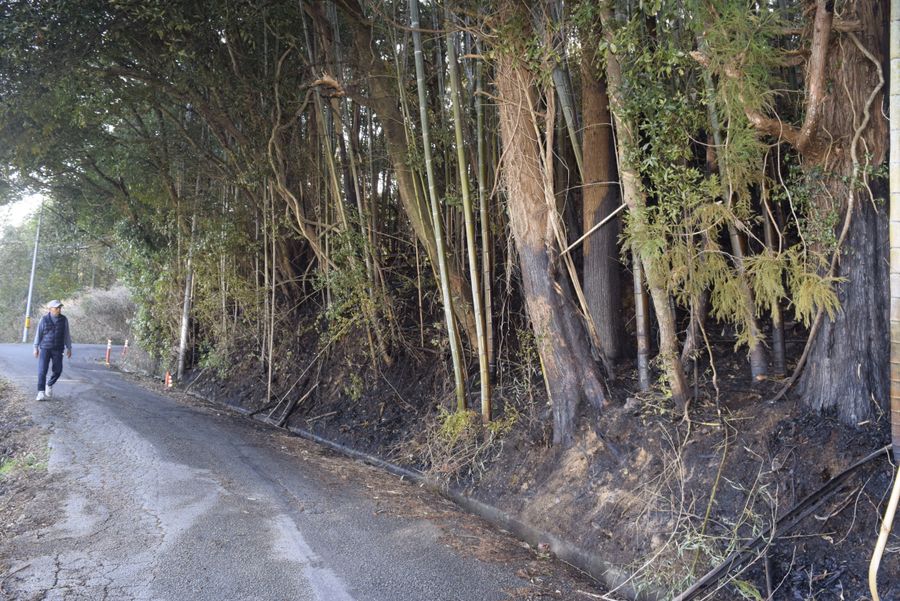 山の斜面などを焼いた火災現場（１５日午後３時ごろ、南国市岡豊町蒲原）
