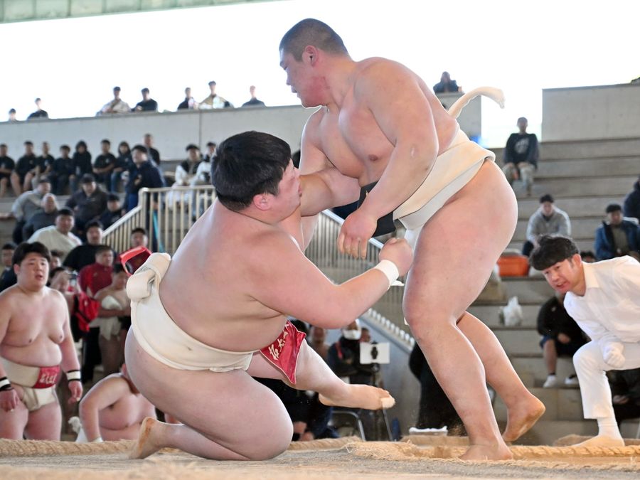 【団体決勝 拓大紅陵―鳥取城北】中堅戦、鳥取城北・川崎=右=が押し出しで拓大紅陵・沢を破り、優勝を決める(写真はいずれも春野相撲場=森本敦士撮影)