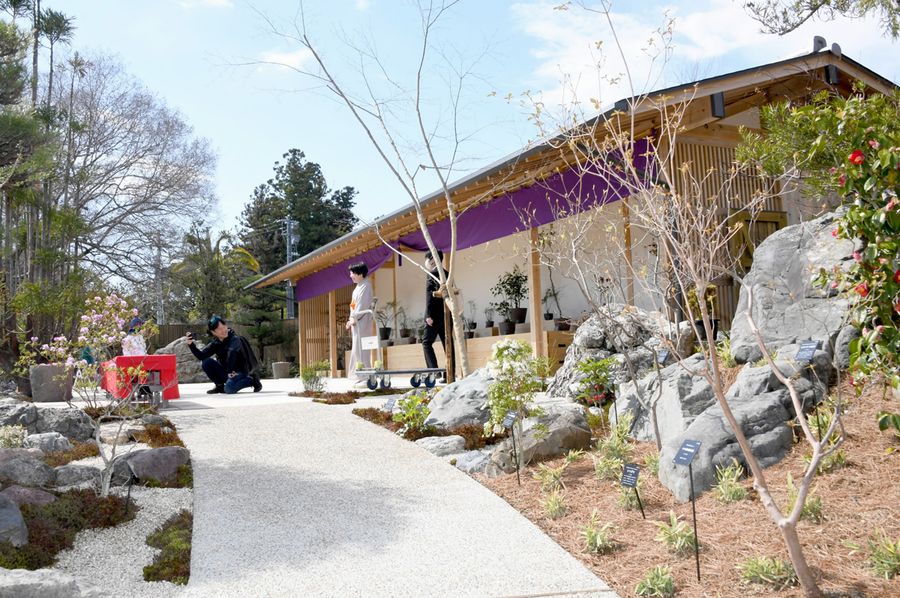  一新された南園の観賞棚エリア（写真はいずれも高知市五台山の牧野植物園） 