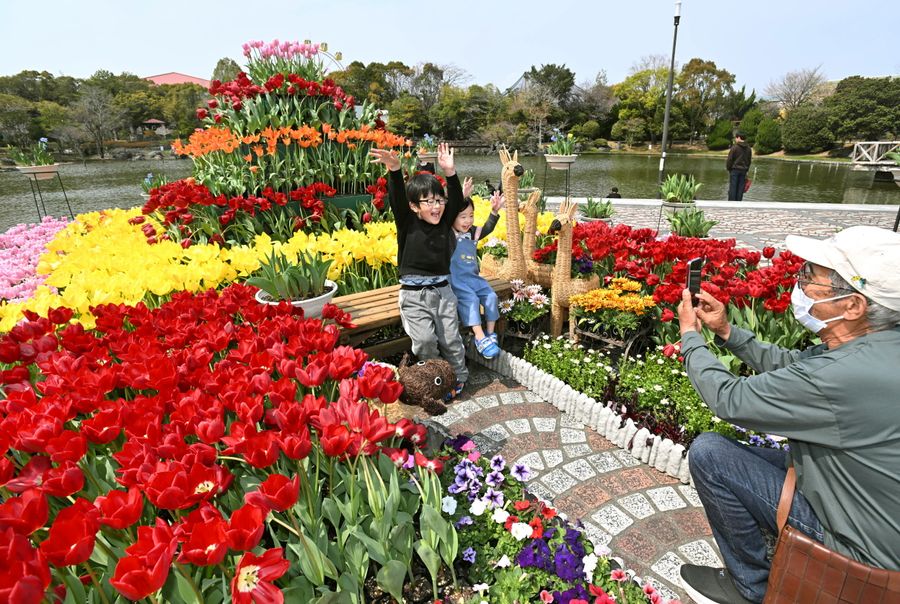 満開のチューリップに囲まれ、記念撮影を楽しむ来園者（高知市桟橋通６丁目）