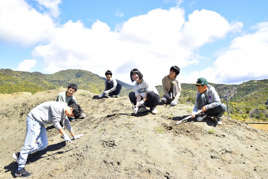 ハンマーやタガネを手に夢中で化石を掘る子どもたち（安田町唐浜）