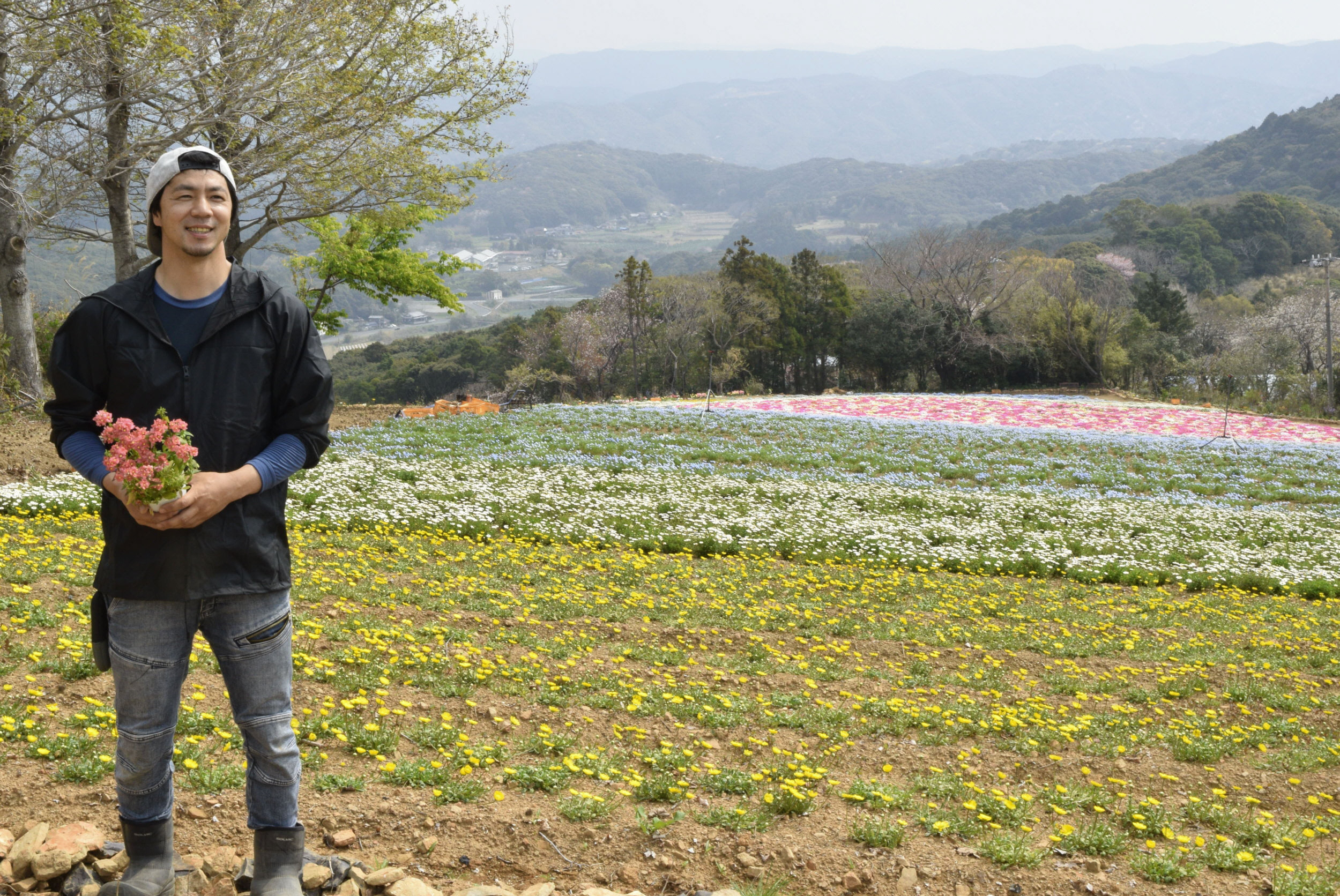 大月町に10万株の花畑 「花咲農園」4／1オープン 花屋の息子がU
