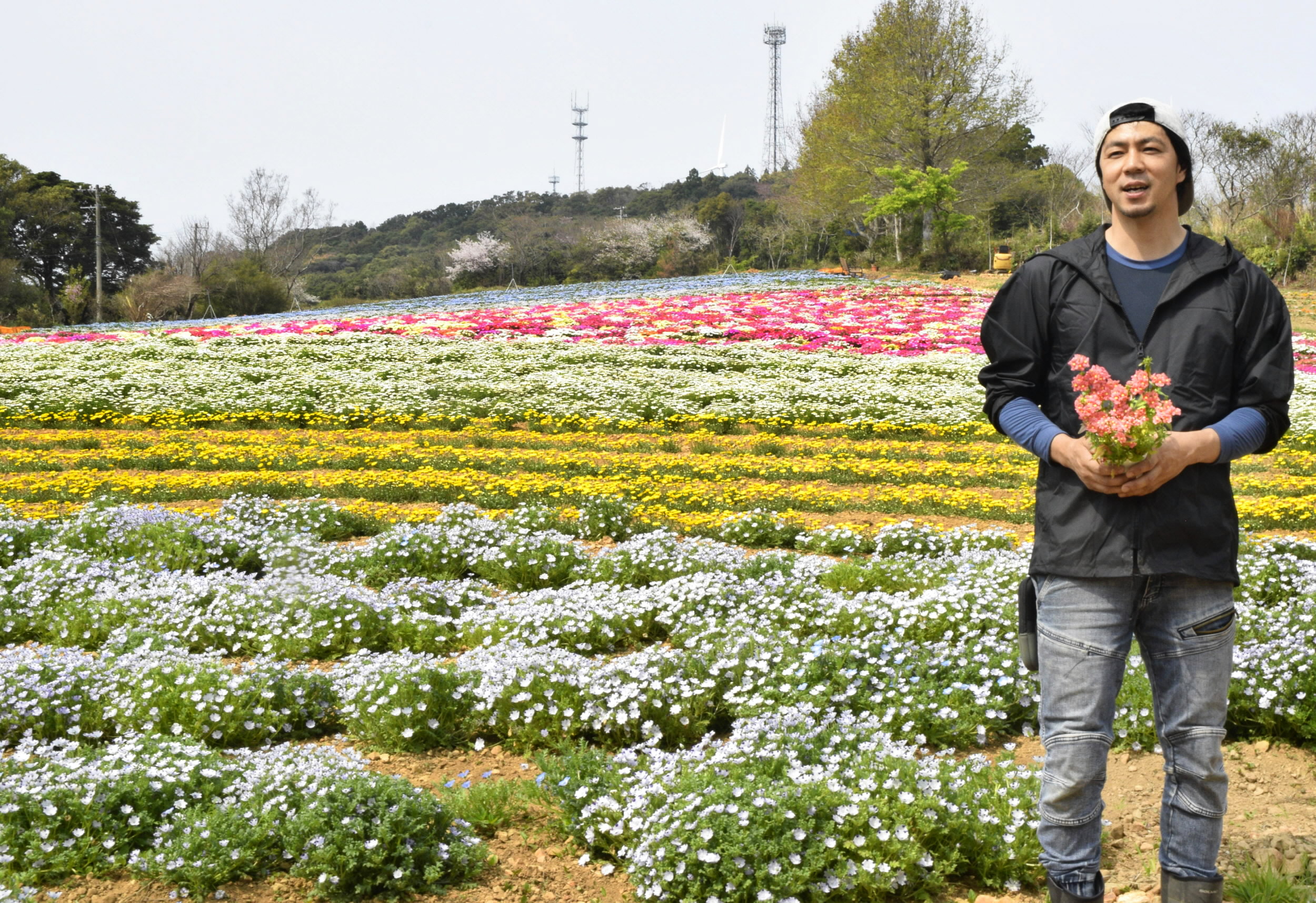 大月町に10万株の花畑 「花咲農園」4／1オープン 花屋の息子がU