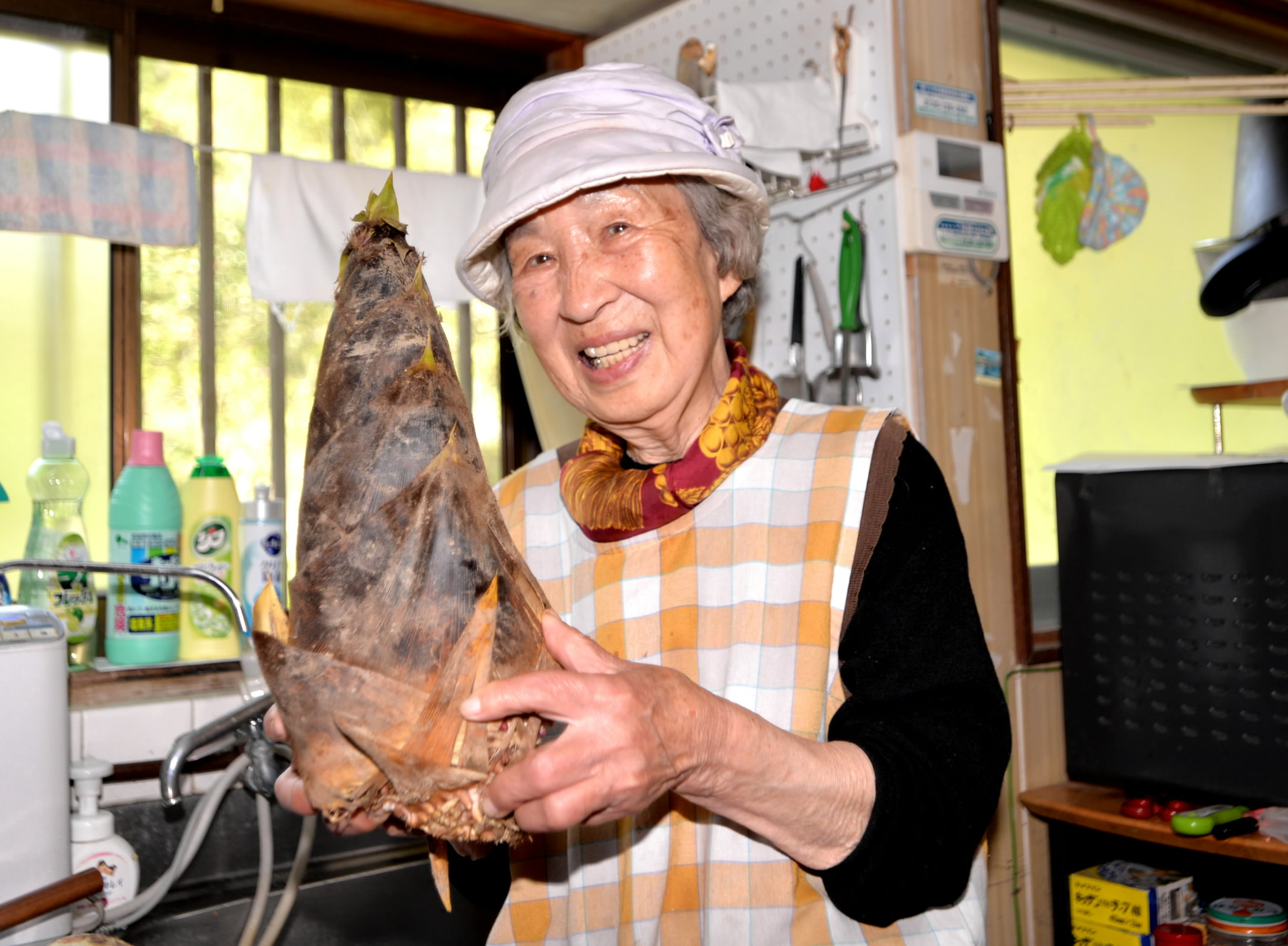 チロちゃん ユーチューバーは93歳！ チロちゃんばあちゃん大人気 登録者22万人