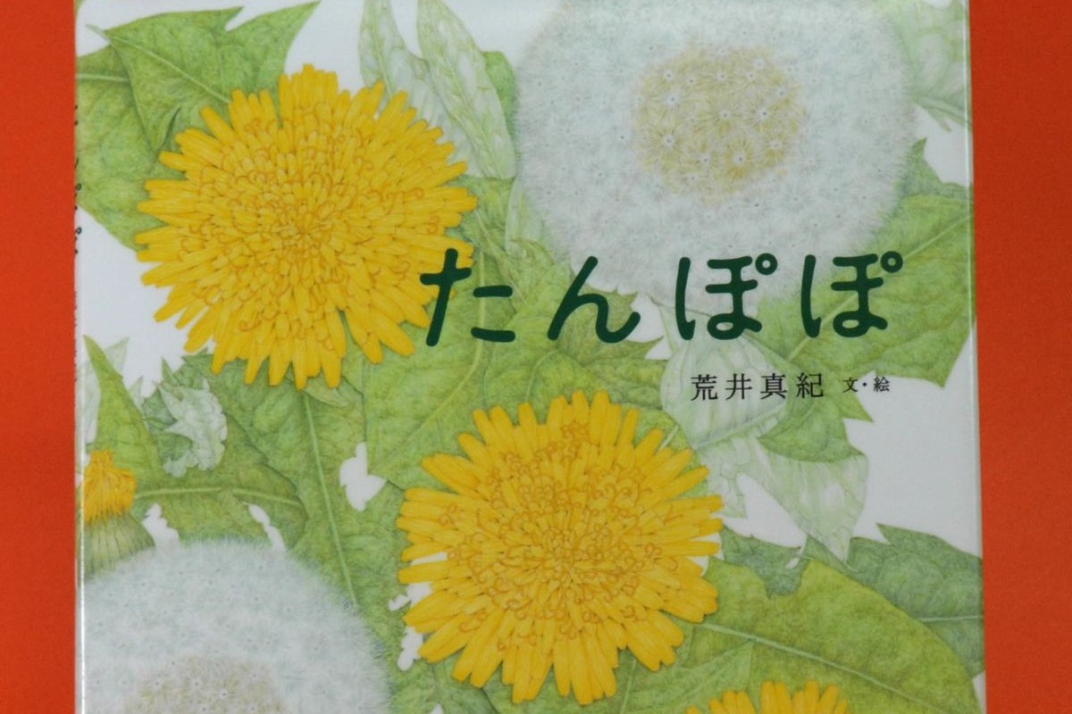 たんぽぽ」 | 高知新聞