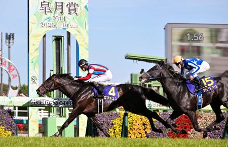 G1皐月賞、ロブチェンが優勝 競馬、2着はリアライズシリウス | 高知新聞