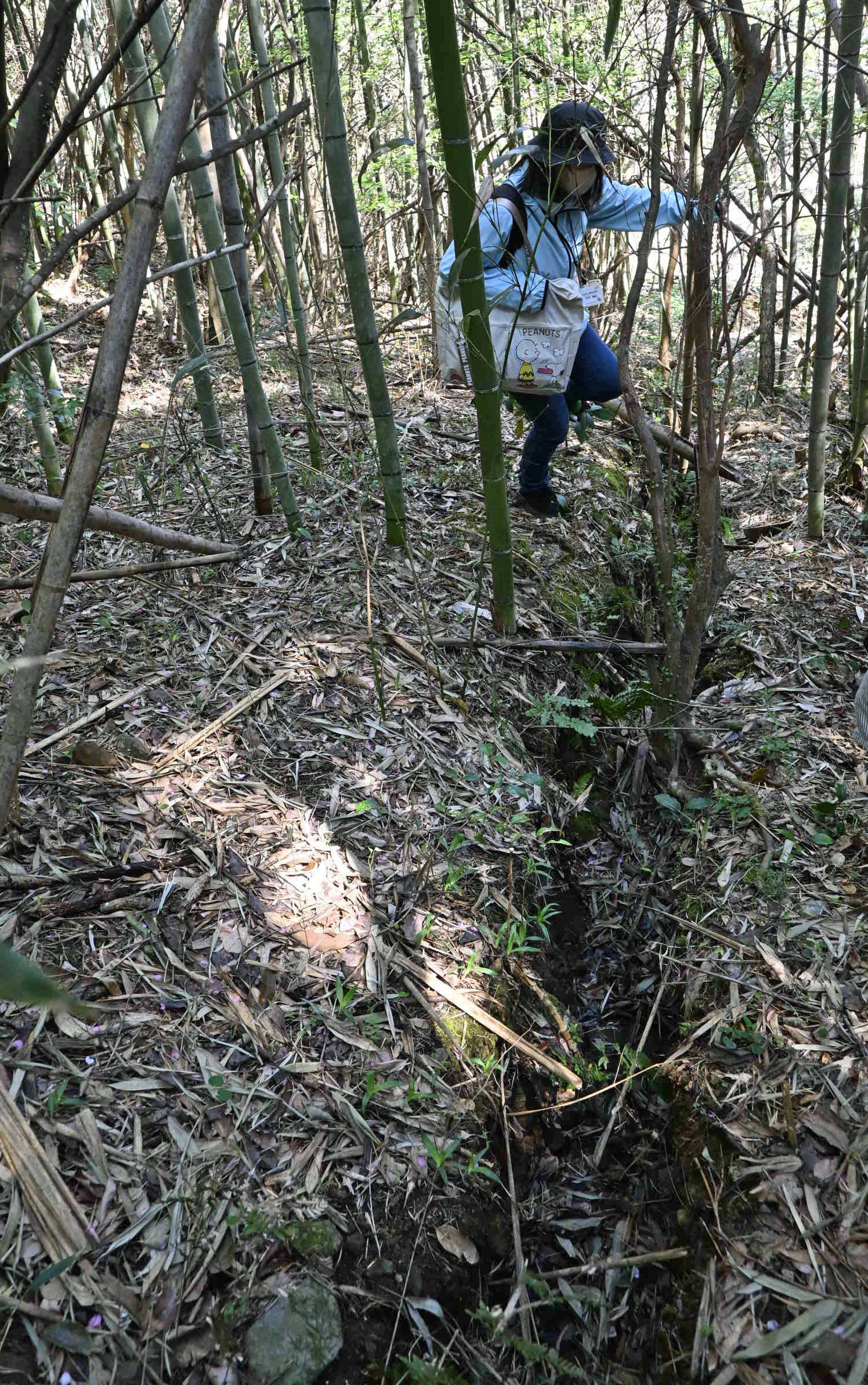 写真大量】闇に浮かぶ手掘りの痕跡 高知県南国市・岡豊山の旧陸軍塹壕
