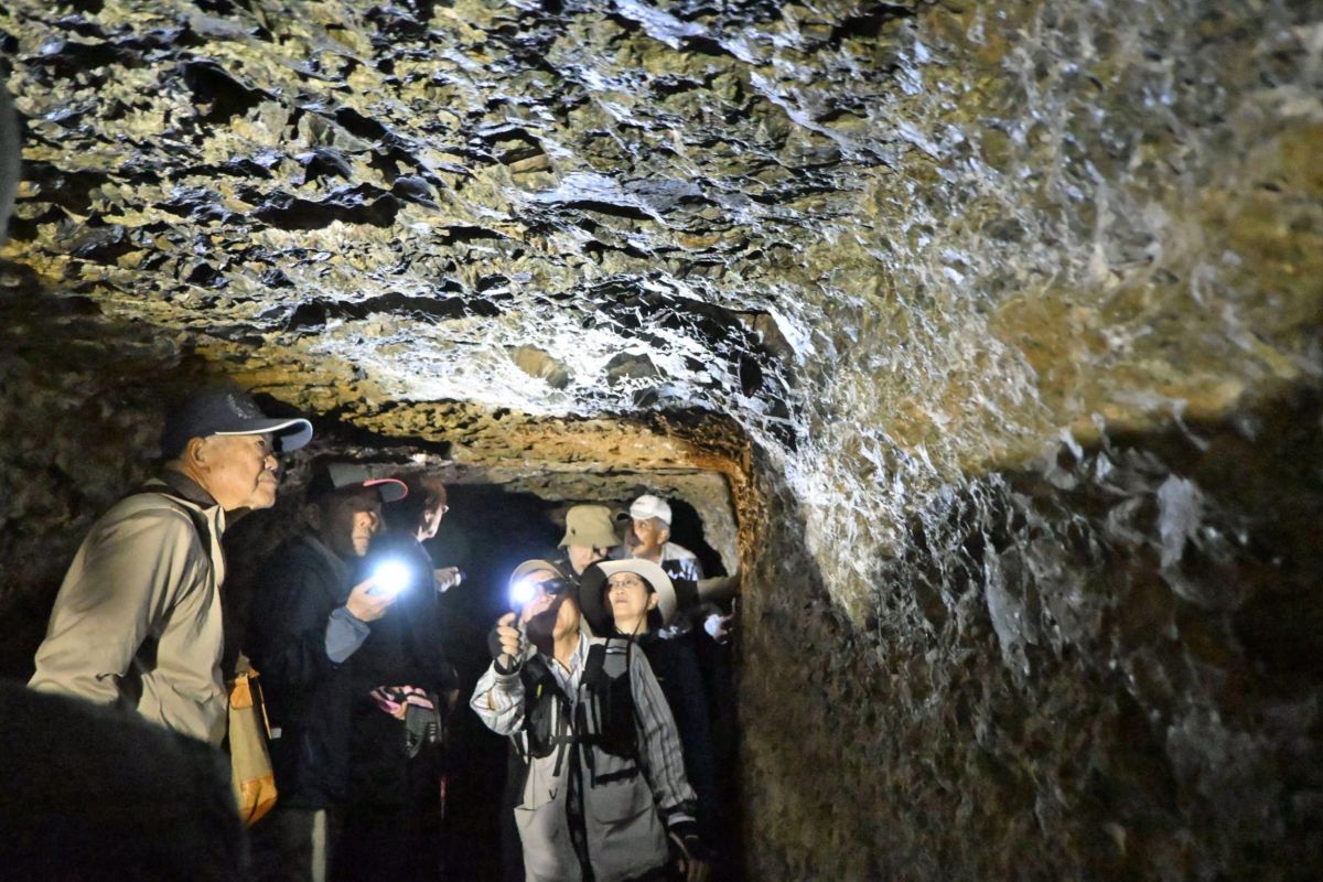 写真大量】闇に浮かぶ手掘りの痕跡 高知県南国市・岡豊山の旧陸軍塹壕
