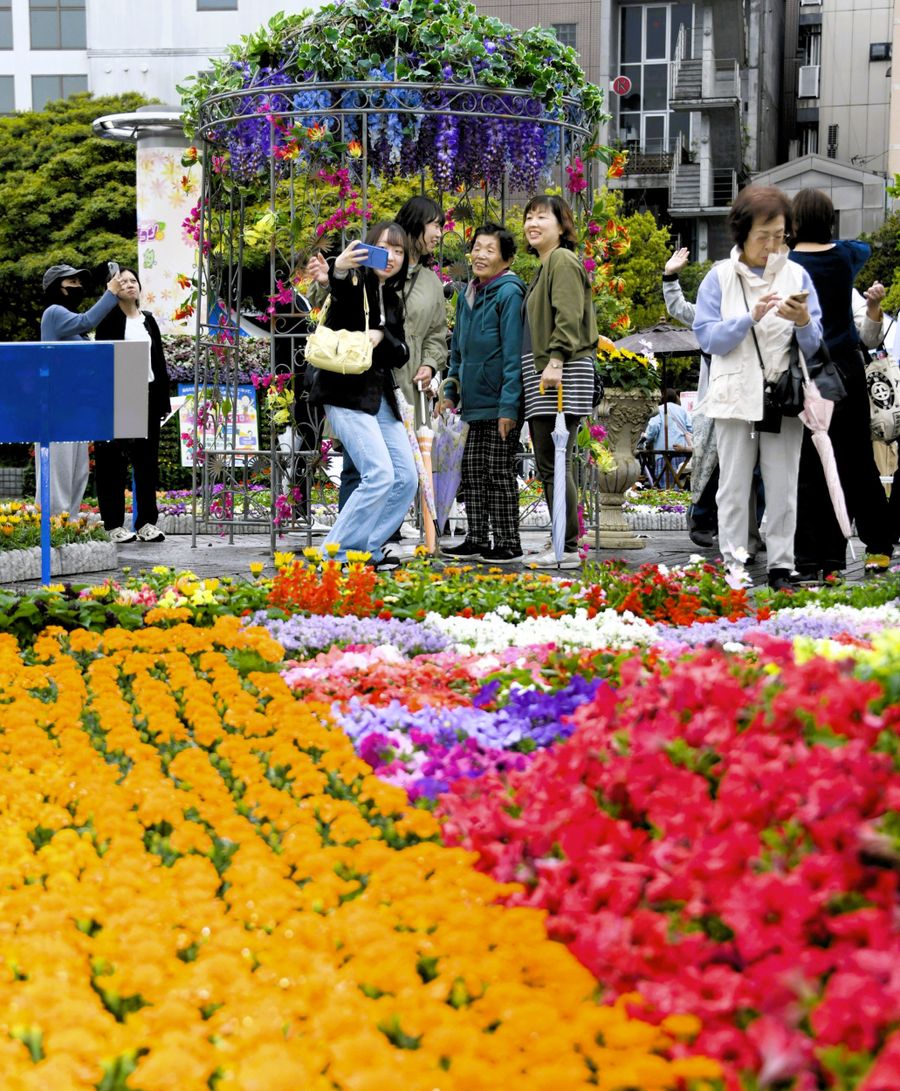 色鮮やかな花々をめでる家族連れら（いずれも高知市の中央公園）