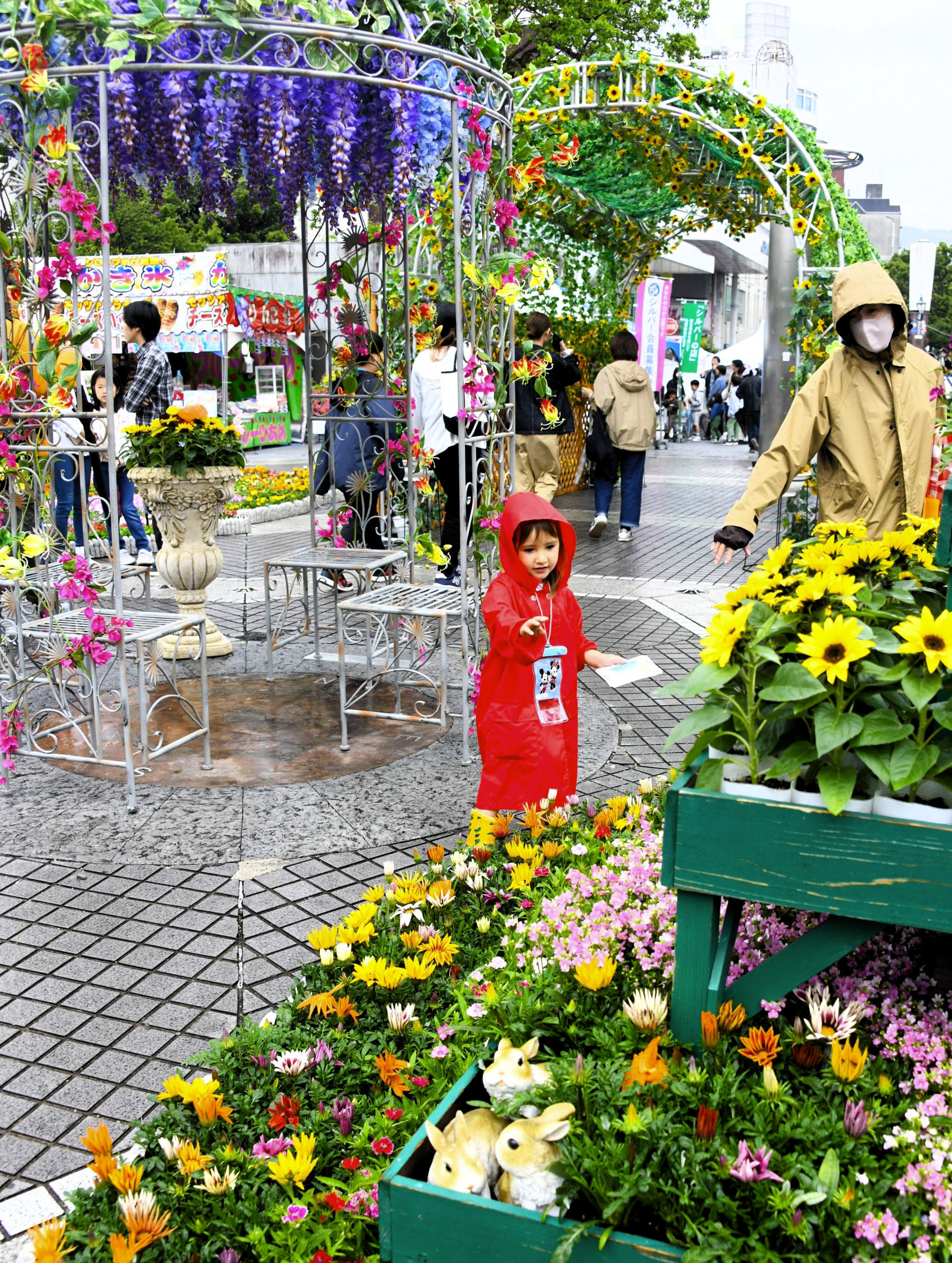 雨ニモマケズ、色鮮やかに4万鉢 高知のGW風物詩「春花まつり」5