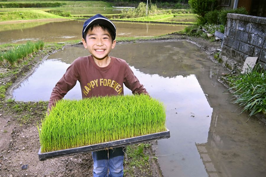 祖父母の家庭菜園に、自分の田を作った中内靖さん（四万十町仁井田）